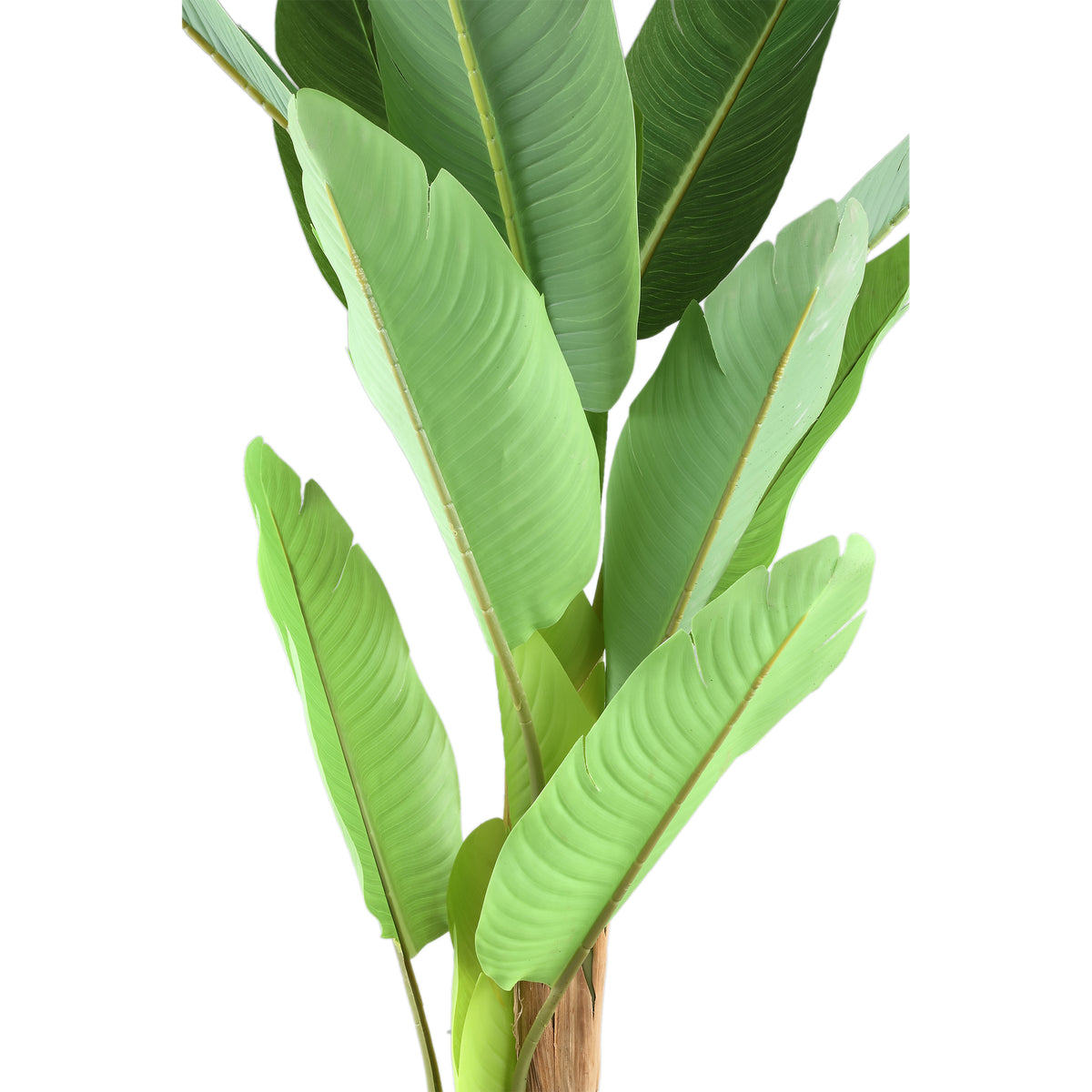 Tree Green PE Real Touch Drzewo bananowe S 110x108x155cm PTMD