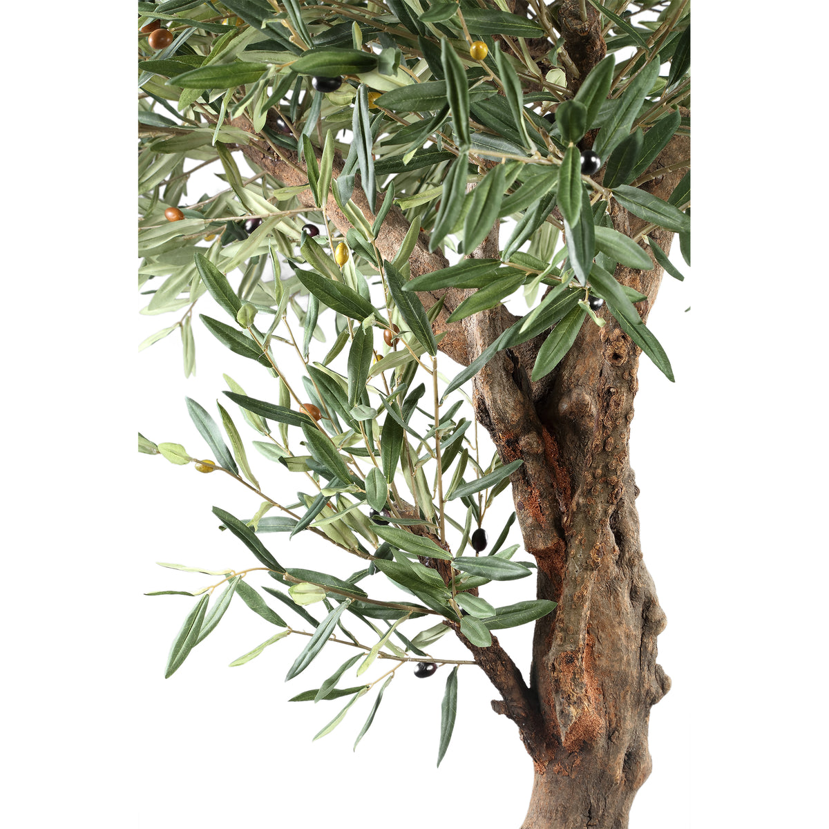 Drzewo Zielona Oliwka W Doniczce 120x120x210cm PTMD