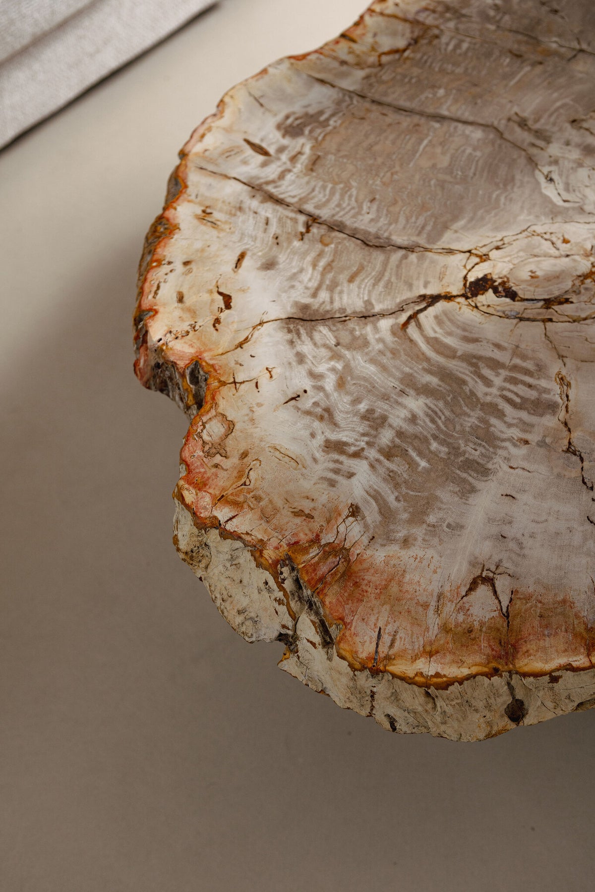Stolik kawowy Yoel Naturalne drewno skamielinowe Podstawa Bras PTMD