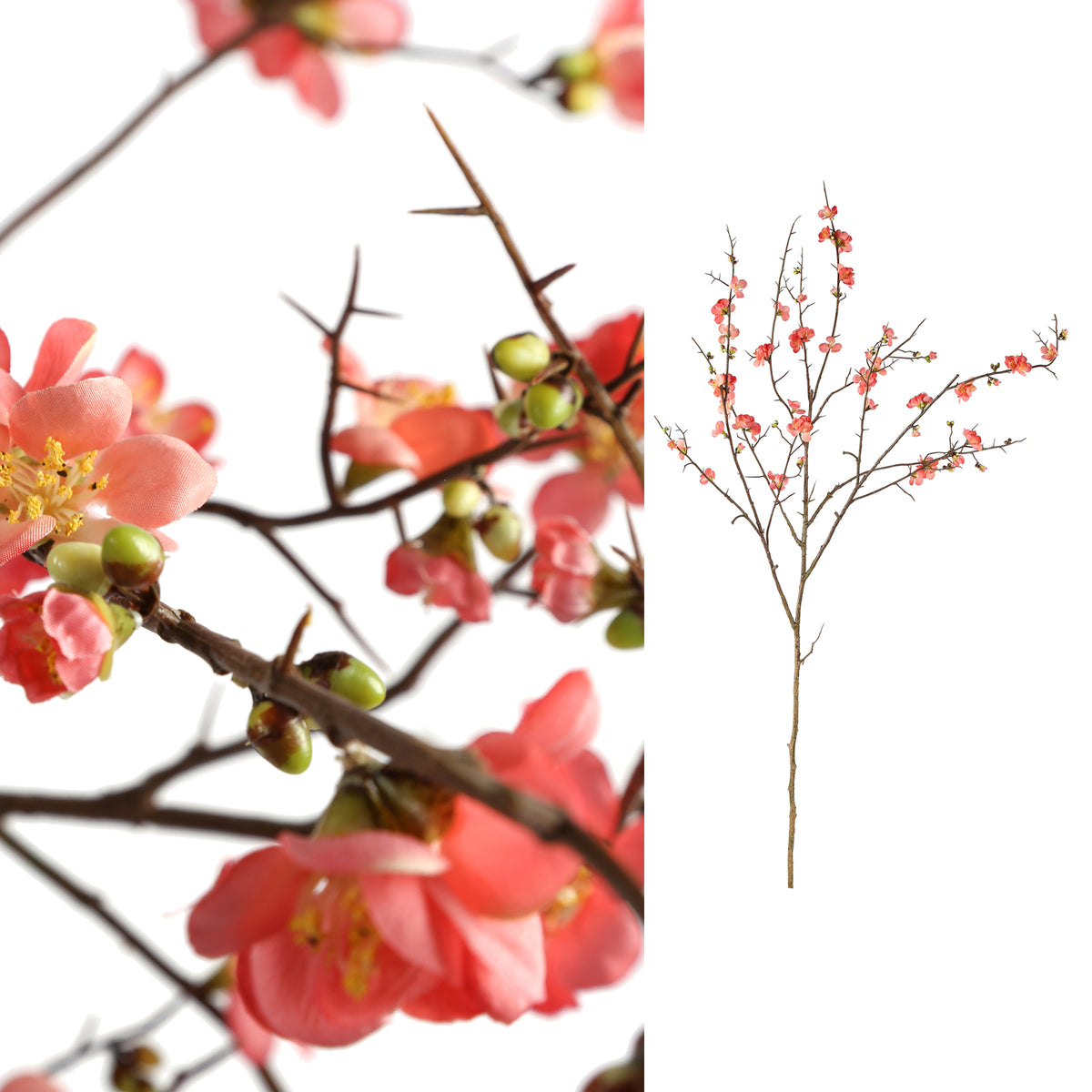 Kwiat Blossoom Różowy kwiat wiśni L PTMD