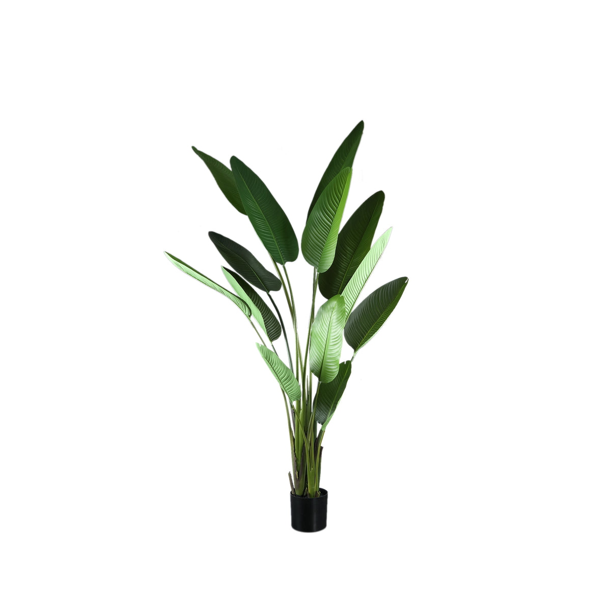 Roślina sztuczna Leaves Green PE Real Touch Strelitzia L 110x63x235cm PTMD