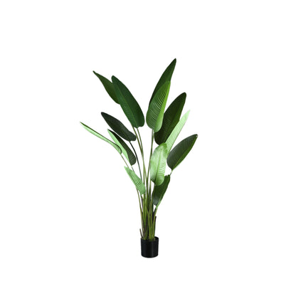 Roślina sztuczna Leaves Green PE Real Touch Strelitzia L 110x63x235cm PTMD