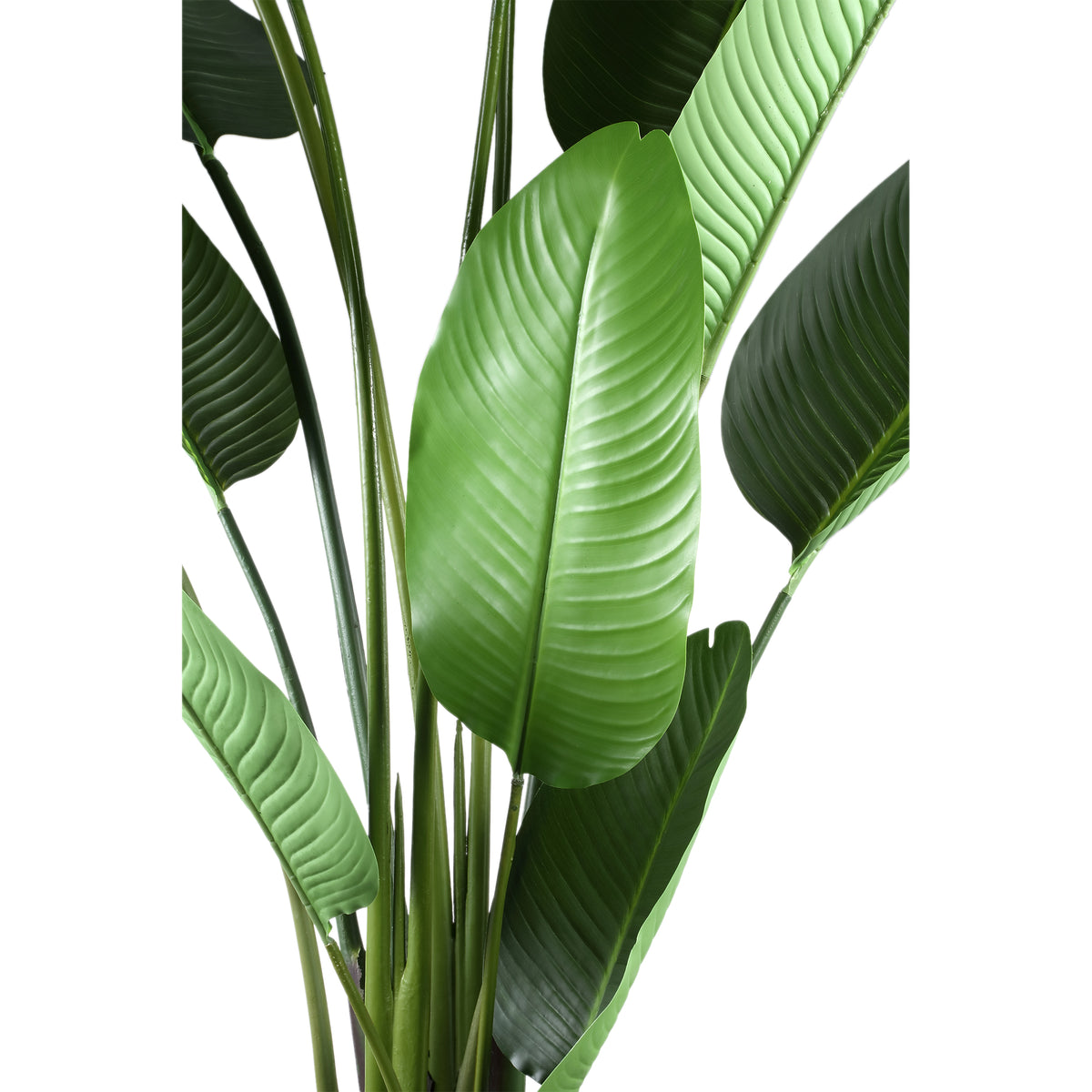 Roślina sztuczna Leaves Green PE Real Touch Strelitzia L 110x63x235cm PTMD