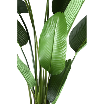 Roślina sztuczna Leaves Green PE Real Touch Strelitzia L 110x63x235cm PTMD