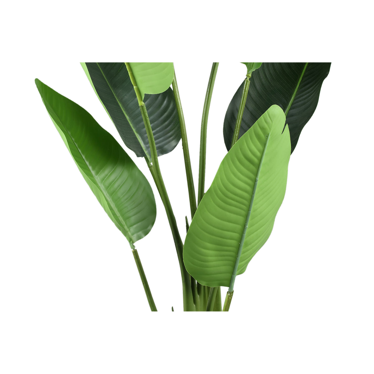 Roślina sztuczna Leaves Green PE Real Touch Strelitzia S 77x56x117cm PTMD