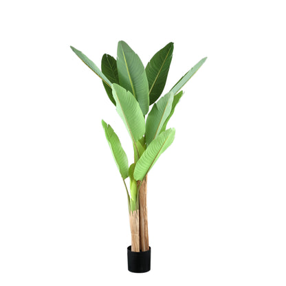 Tree Green PE Real Touch Drzewo bananowe S 110x108x155cm PTMD