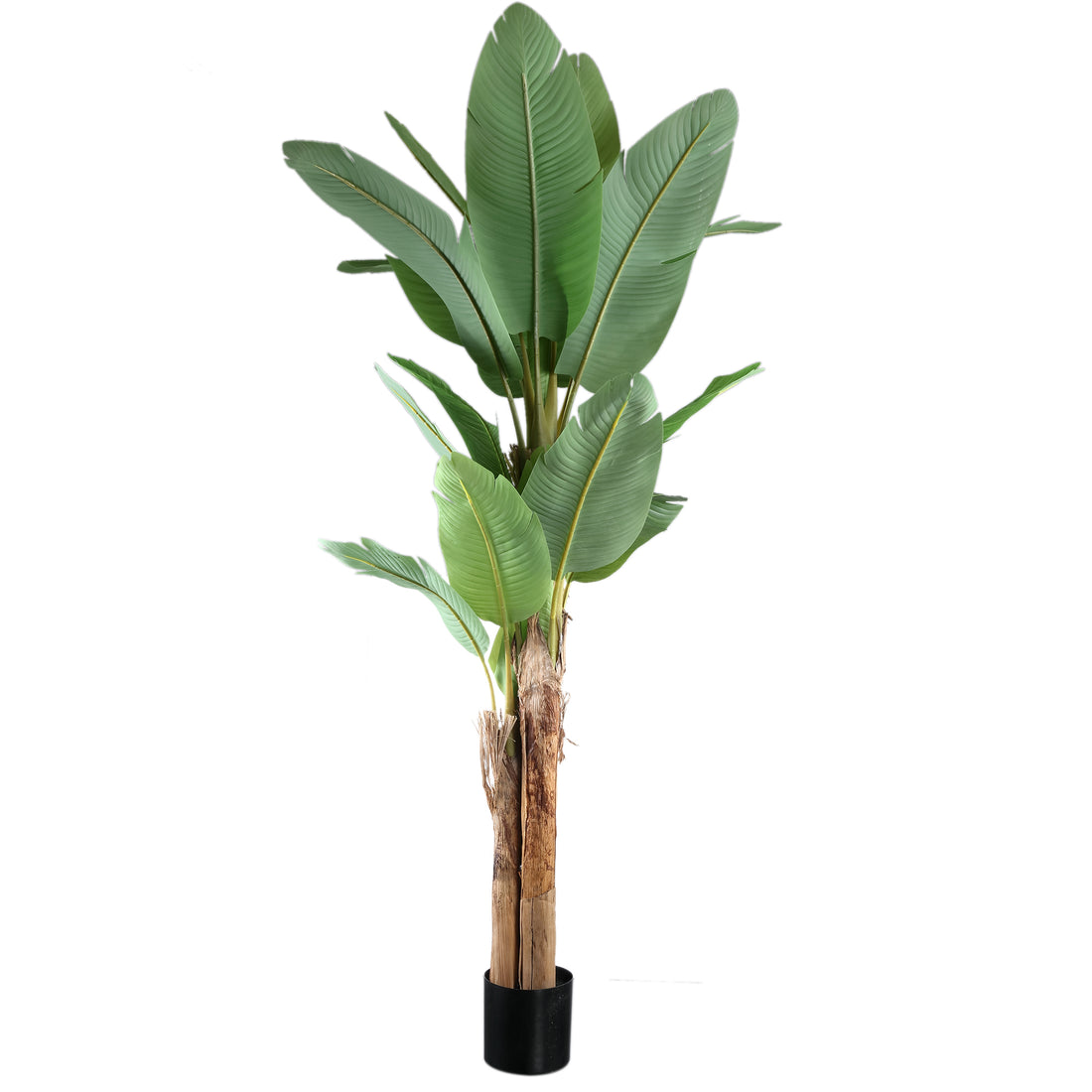 Tree Green PE Real Touch Drzewo bananowe L 170x163x280cm PTMD