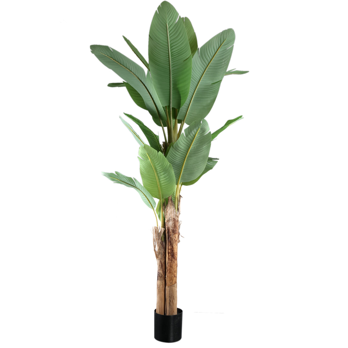 Tree Green PE Real Touch Drzewo bananowe L 170x163x280cm PTMD