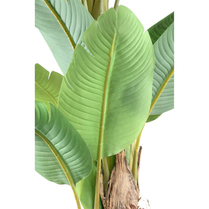 Tree Green PE Real Touch Drzewo bananowe L 170x163x280cm PTMD