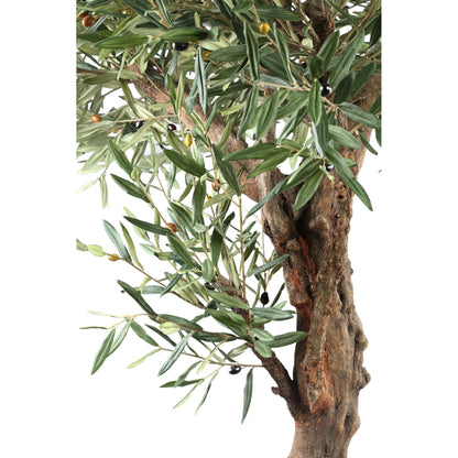 Drzewo Zielona Oliwka W Doniczce 120x120x210cm PTMD