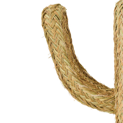 Kaktus trawa naturalna średnia J-Line