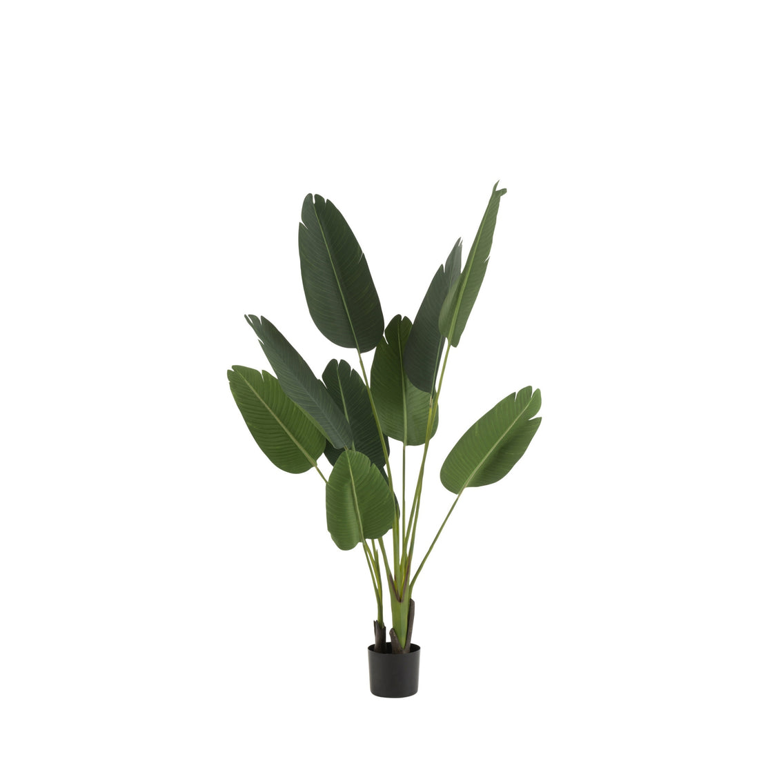 Strelitzia sztuczna zielona mała