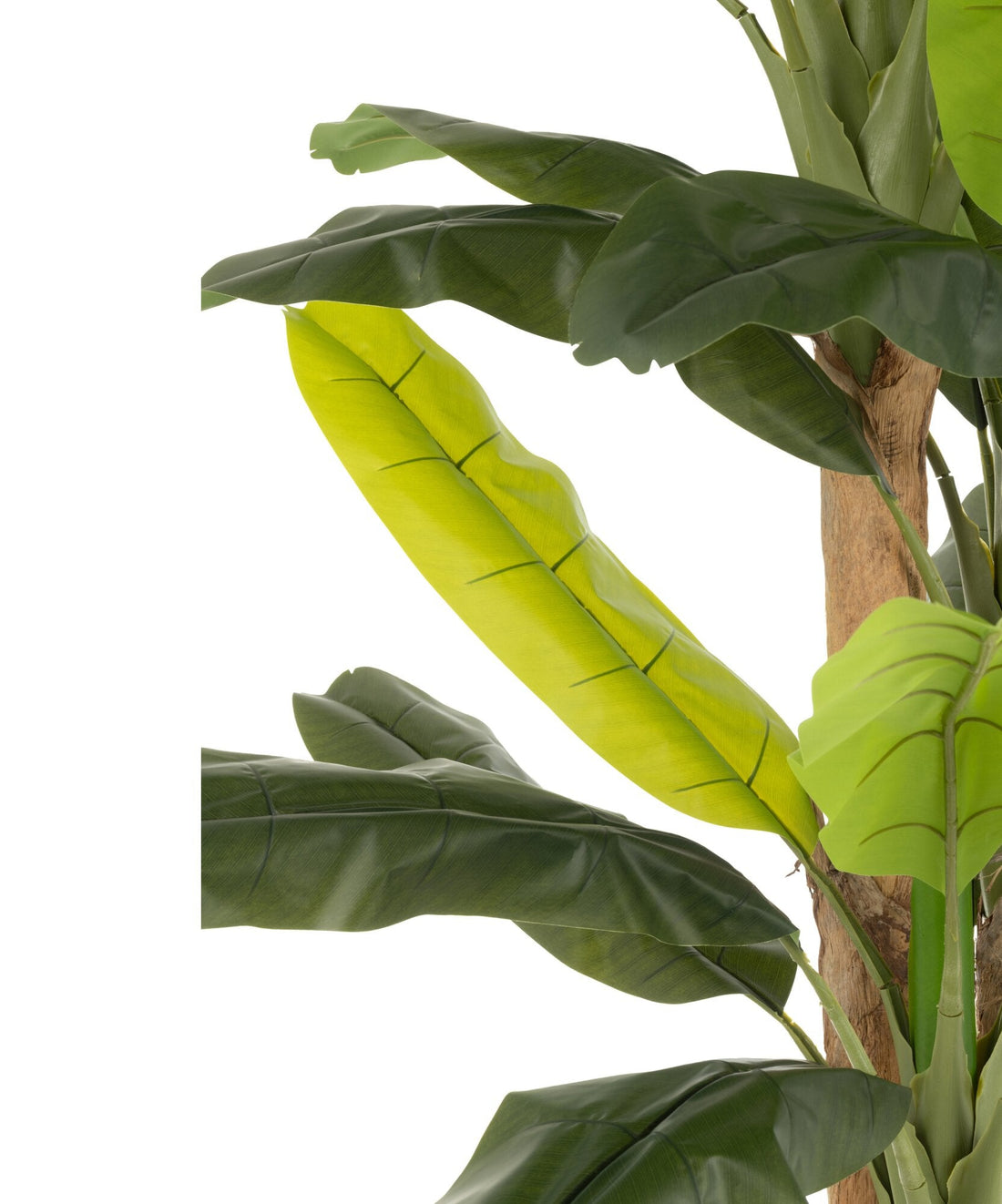 Sztuczna bananowica w doniczce, zielona, H 300 cm, J-Line