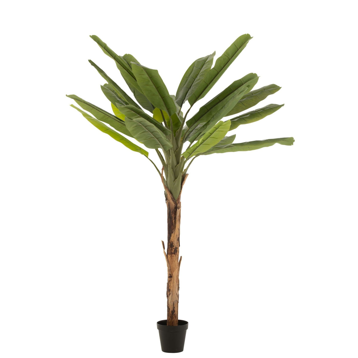Palma bananowa sztuczna Zielona/Brązowa H250cm J-Line