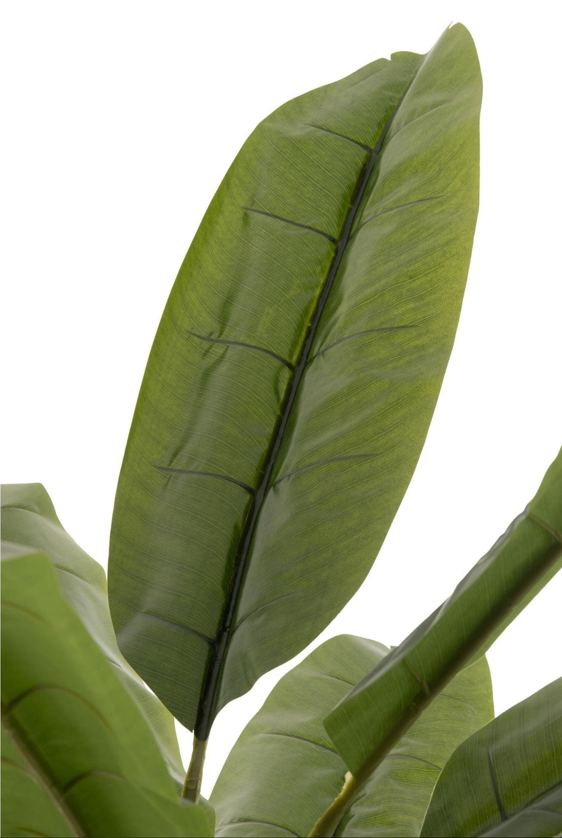 Palma bananowa sztuczna Zielona/Brązowa H250cm J-Line
