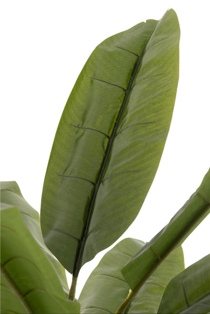 Palma bananowa sztuczna Zielona/Brązowa H250cm J-Line