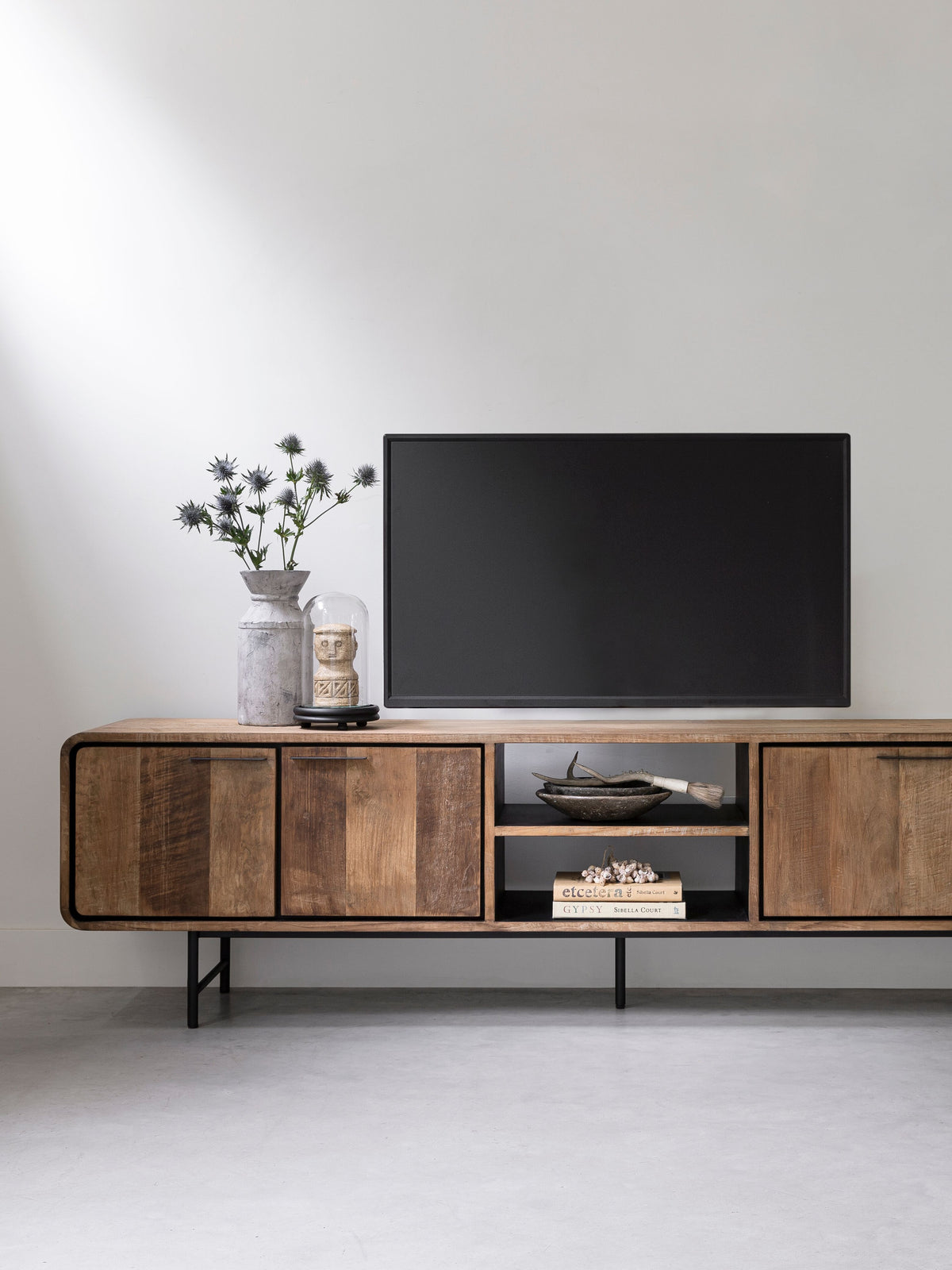 DTP Home Szafka RTV Evo Large