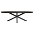 Ovale Denver eettafel 210cm van Starfurn met zwart gelakte metalen matrixpoot en mangohouten blad