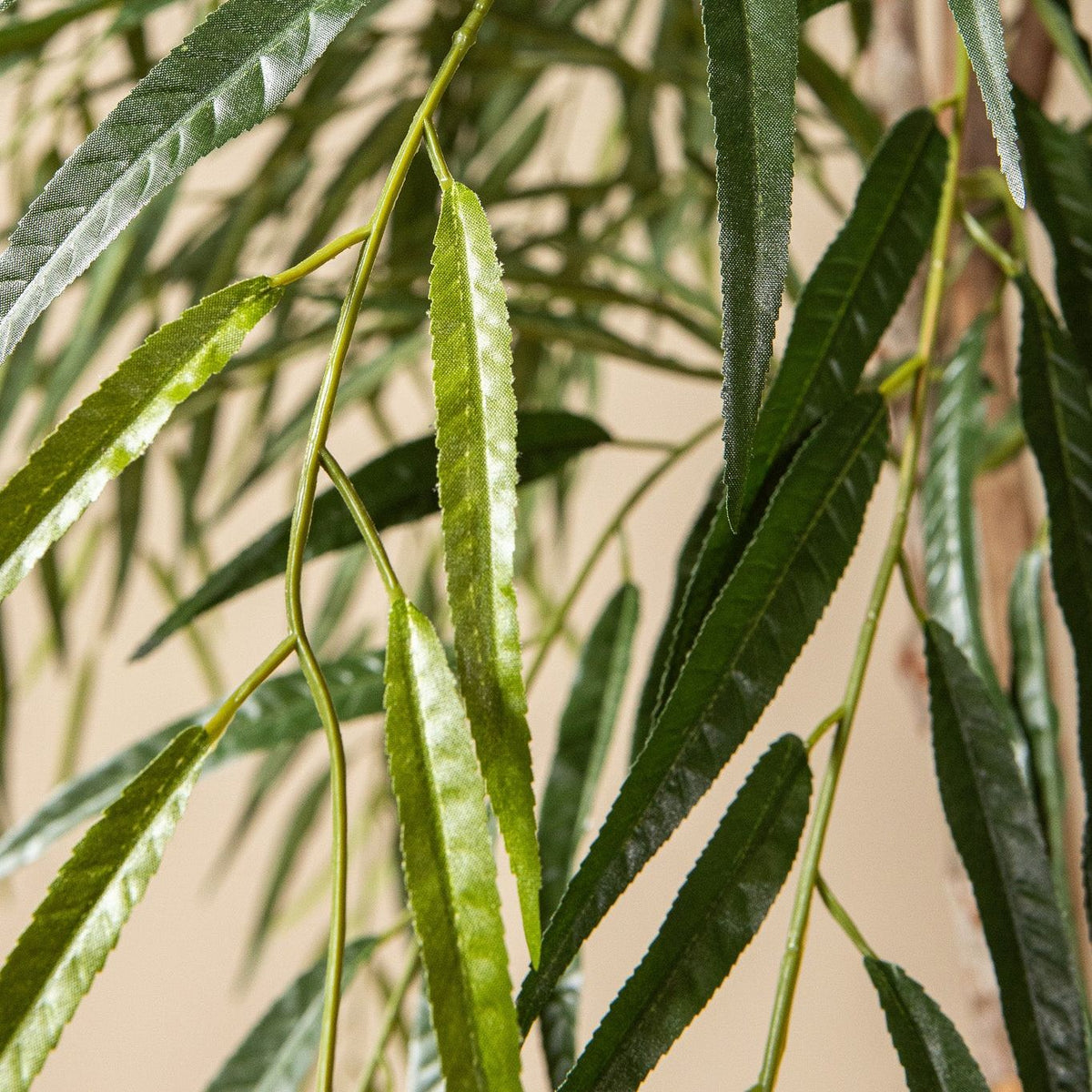 Groene kunstwilg van PTMD als sfeerbeeld naast een zithoek