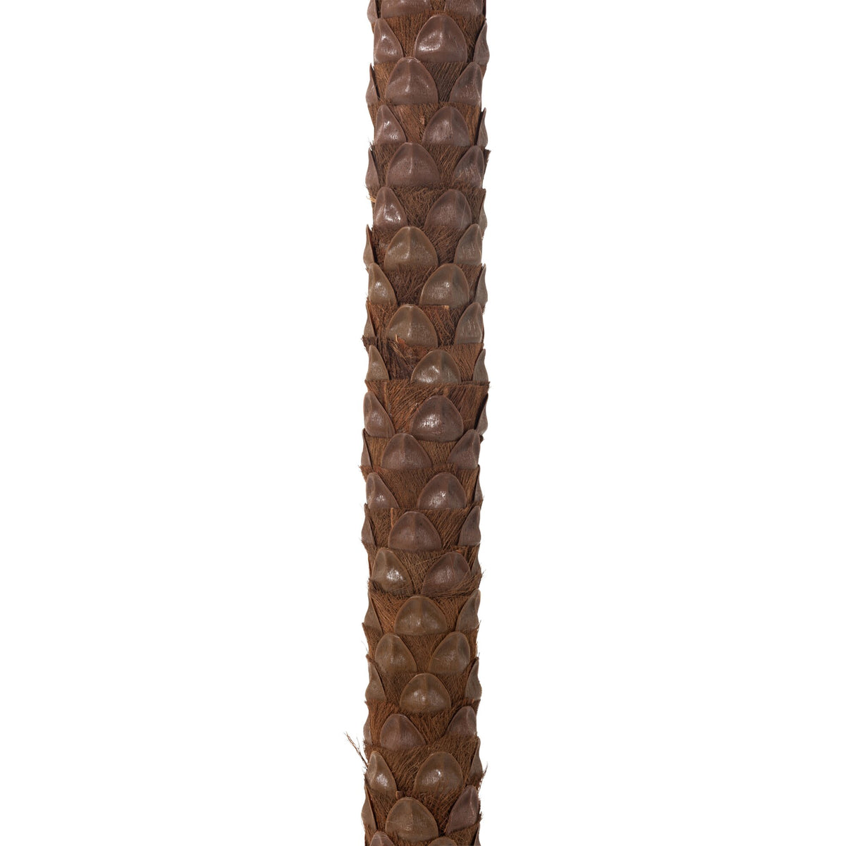 Palma z 4 kokosami w doniczce, sztuczna, zielona, H 350 cm, J-Line